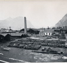 Lucchini S.p.a. (ex Laminatoio Arlenico-Caleotto)